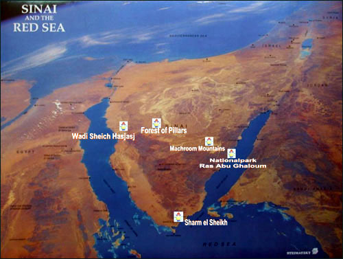 Scopri di più sull'articolo Si destabilizza il Sinai per creare problemi al triangolo Israele-Palestinesi-Egitto