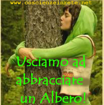 Scopri di più sull'articolo Ora esco ad abbracciare un Albero!