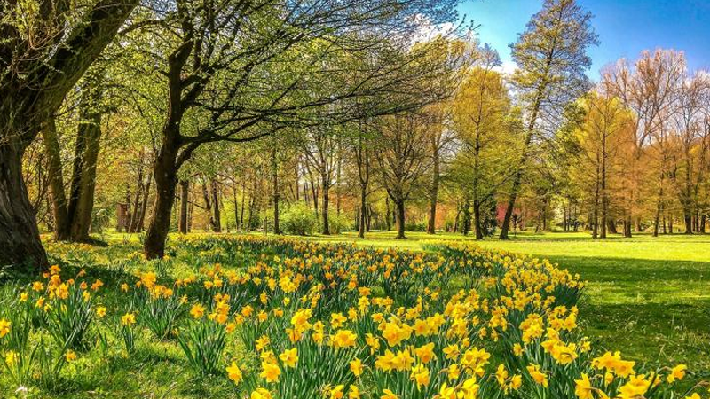 Scopri di più sull'articolo La Primavera facciamola anche noi! Così come la Natura…