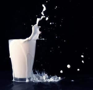 Milk