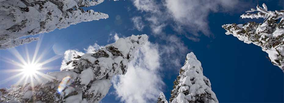 Scopri di più sull'articolo La bellezza dell’inverno