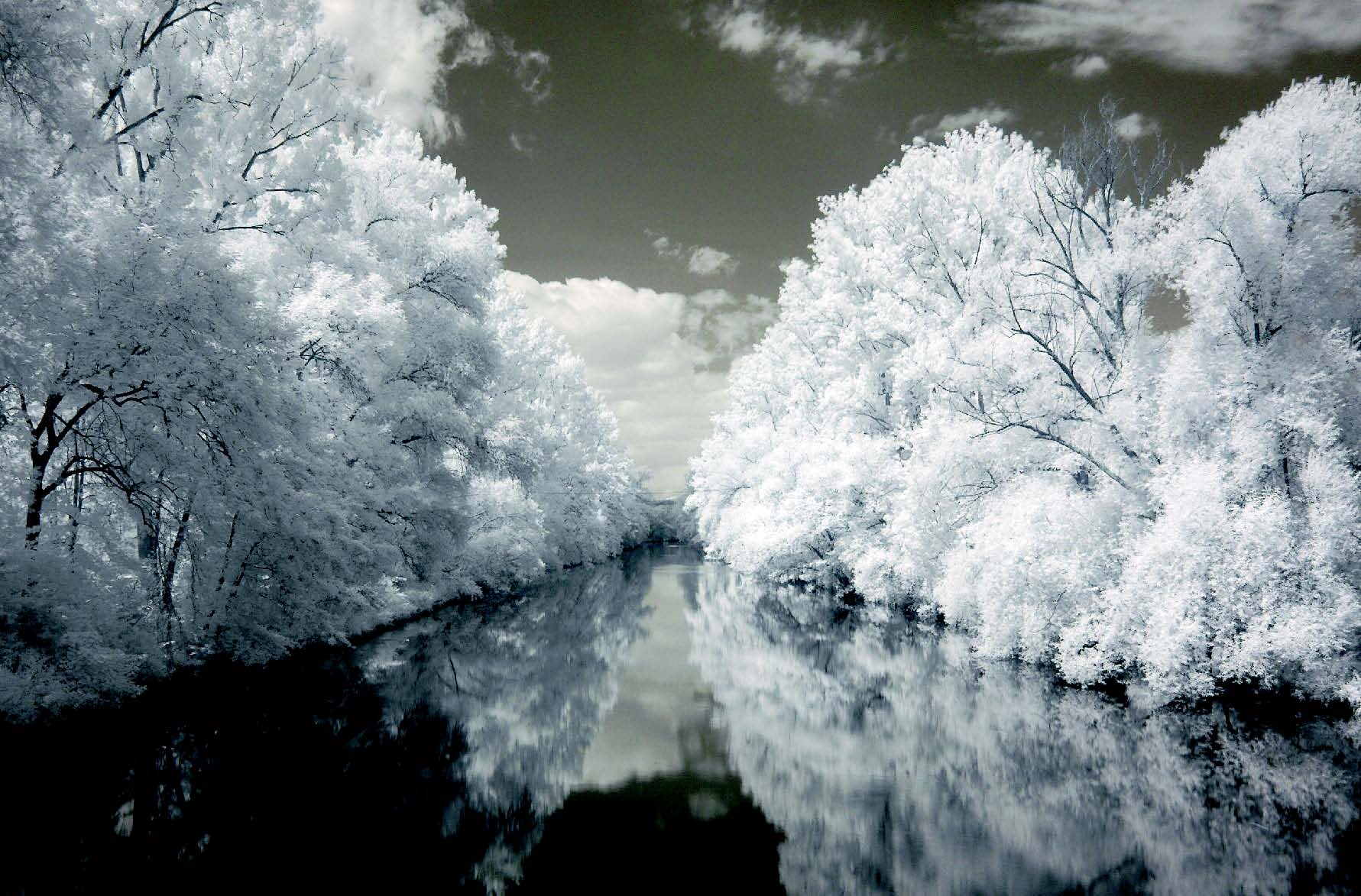 Inverno14