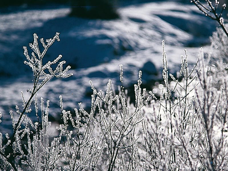 Inverno2