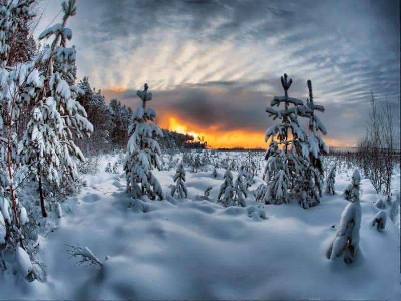 Inverno3