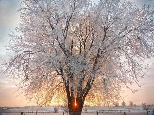 Inverno8