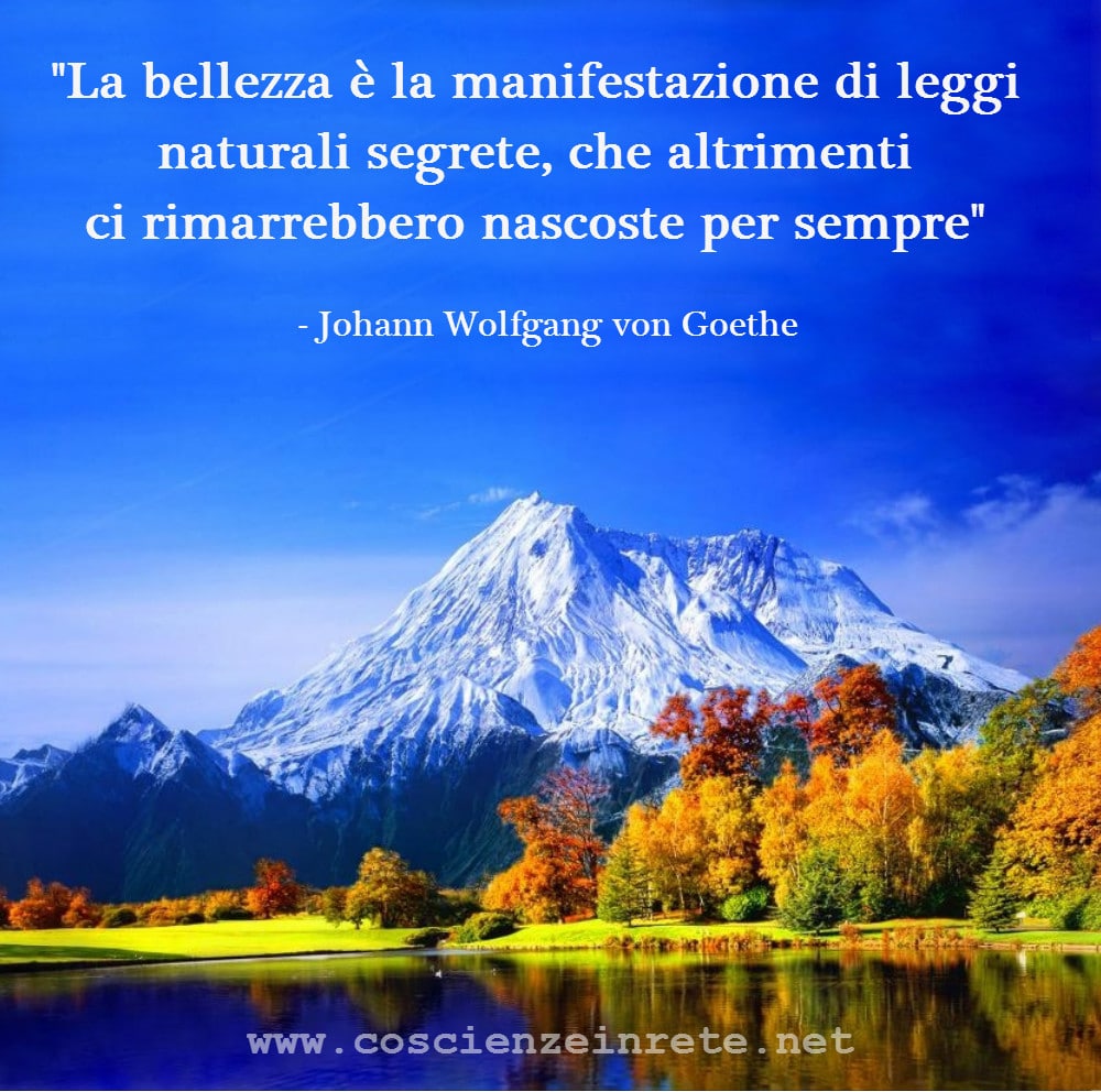Scopri di più sull'articolo Nella ricerca del bene non può esserci giustizia senza bellezza