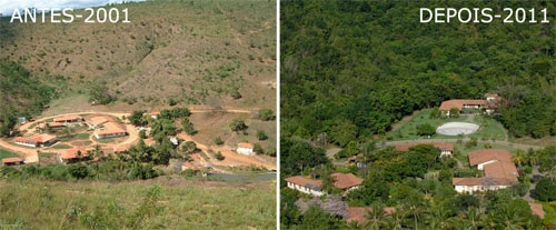 Salgado6