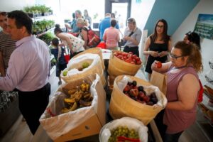 feeditforward