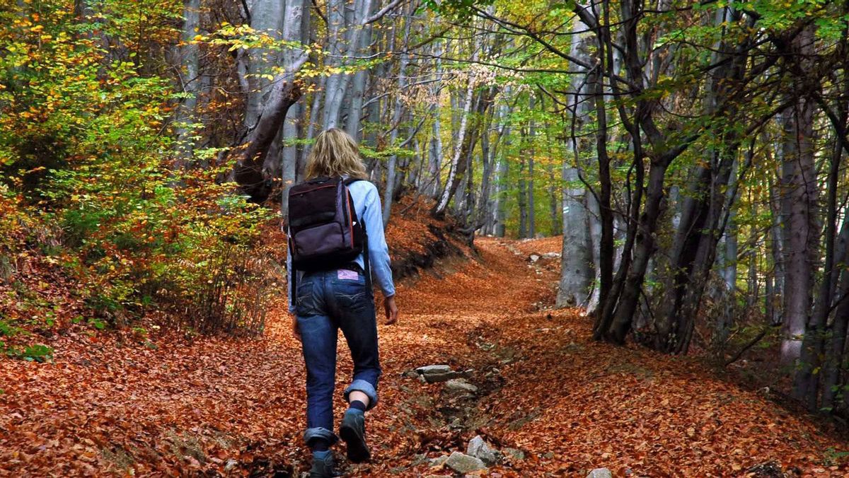 Scopri di più sull'articolo Shinrin-yoku: i benefici della “medicina forestale”