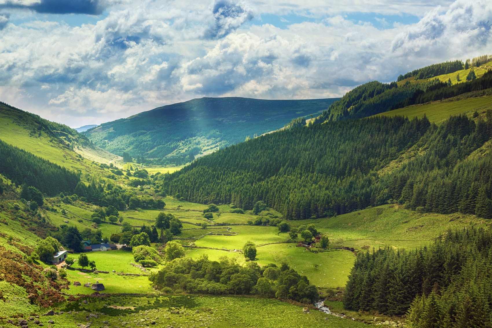 Scopri di più sull'articolo L’Irlanda pianterà 440 milioni di alberi entro il 2040