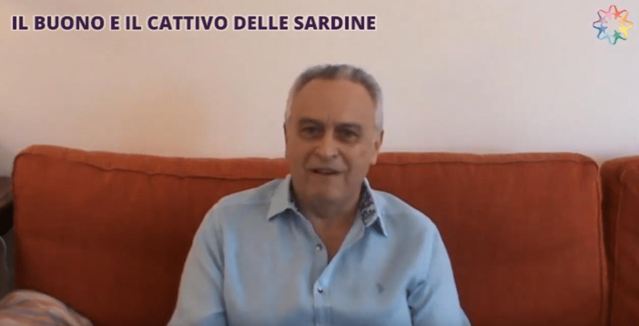 Scopri di più sull'articolo Il buono e il cattivo delle Sardine.