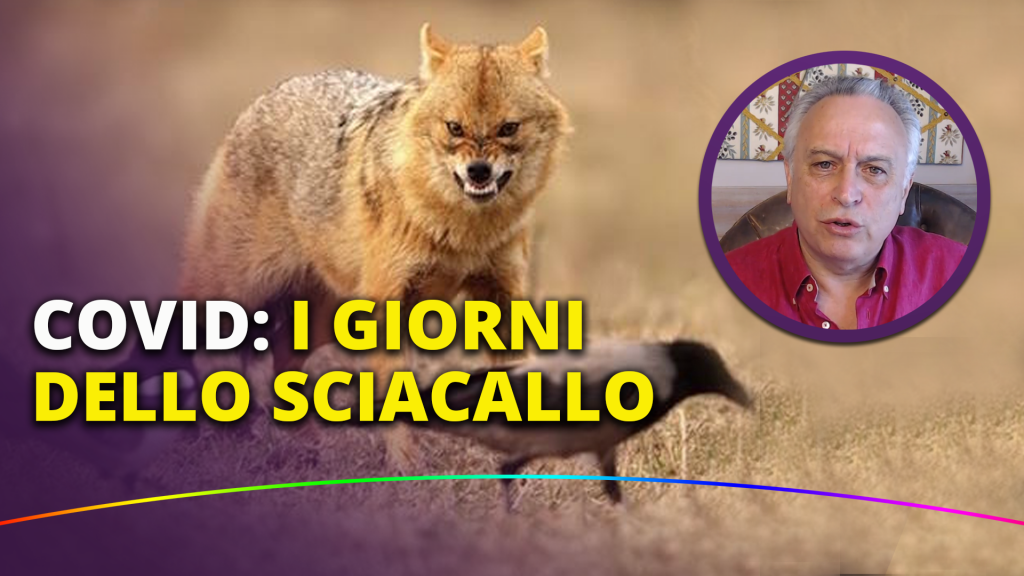 sciacallo