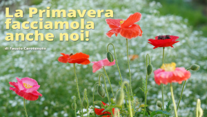 primavera