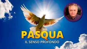 pqsqua